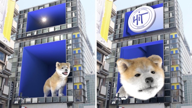 【ツタヤエビスバシヒットビジョン】