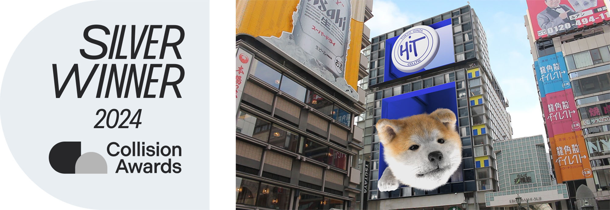『コリジョンアワード』を受賞した巨大な秋田犬が飛び出す動画(ツタヤエビスバシヒットビジョン)